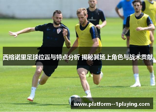西格诺里足球位置与特点分析 揭秘其场上角色与战术贡献