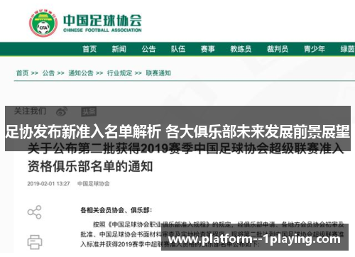 足协发布新准入名单解析 各大俱乐部未来发展前景展望