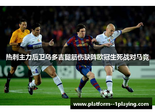 热刺主力后卫乌多吉腿筋伤缺阵欧冠生死战对马竞 热刺主力后卫乌多吉腿筋伤缺阵欧冠生死战对马竞