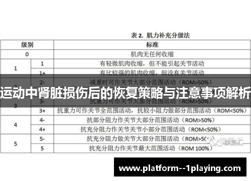 运动中肾脏损伤后的恢复策略与注意事项解析